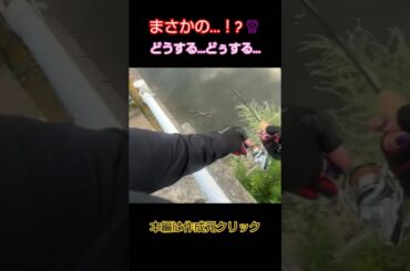 緊急事態宣言😂kumiffy  #バス釣り #バスフィッシング #釣り女子 #釣りガール #釣れるワーム