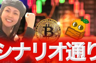 ビットコイン底か?ハッキングがなくなる未来