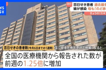 「お母さんの喉も…」百日せきの感染者数が過去最多に　親子感染の可能性も｜TBS NEWS DIG