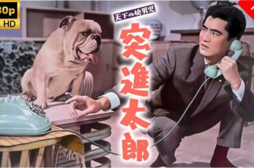 【最高の日本映画】 天下の快男児突進太郎 - 2話🎬🎌🅷🅾️🆃🎌🎬 【日本の歴史映画】