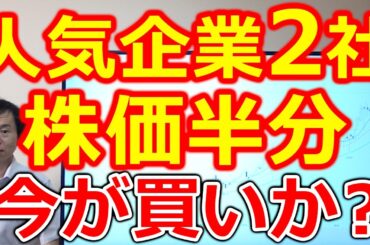 【株価半分！】人気セクター大手株2社が、まさかの急落 下落要因と、株価回復の可能性を分析