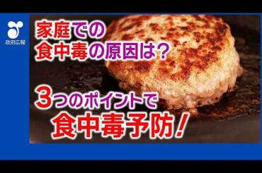 【フルver】知らないと危ない家庭での食中毒対策！衛生管理のコツとは？