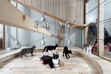 新しい家が難解すぎる