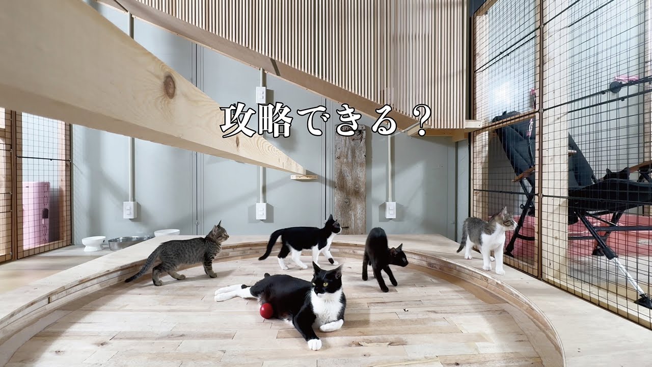 新しい家が難解すぎる 新しい家が難解すぎる