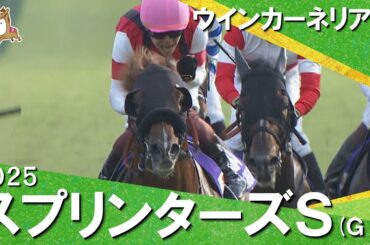 2025年 スプリンターズステークス(ＧⅠ) ウインカーネリアン◆三浦皇成騎手は127度目の挑戦で悲願のJRA・GＩ初制覇！【カンテレ公式】