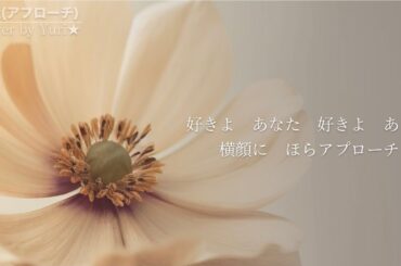 接近~アプローチ~(南野陽子)　Cover by Yuri★