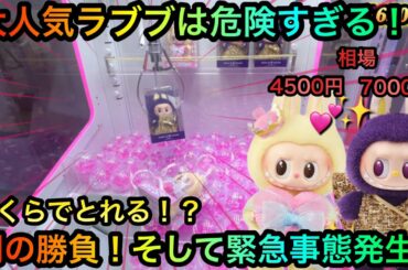 【クレーンゲーム】大人気のラブブぬいぐるみキーホルダーを攻略ゲットしたいが！？いくらでとれる！？【UFOキャッチャー】【確率機】
