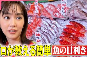 【桐谷美玲“キリモリ”】秋到来!!簡単おいしい魚の目利き術『every.特集』
