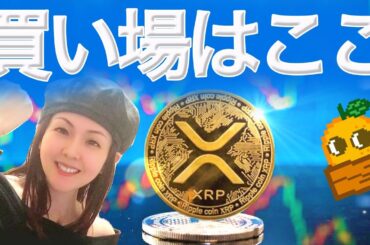 XRP多くの買いが入るのは SOL ETFまもなく上場か