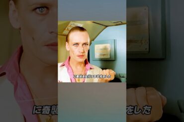 2人の愚かな殺し屋#解説影片 #映画red