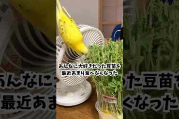 いつもみんなの側にいる