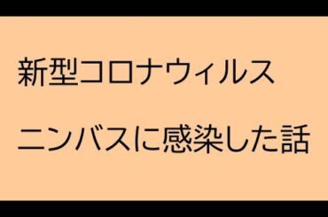 ハプニングバーと感染症の話。新型コロナ「ニンバス」の症状について