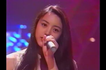 仲間由紀恵  負けない愛がきっとある