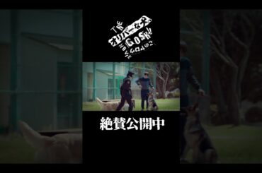 ハンドラーの鏡 #深津絵里 #オリバーな犬 #映画オリバーな犬 #Gosh監督