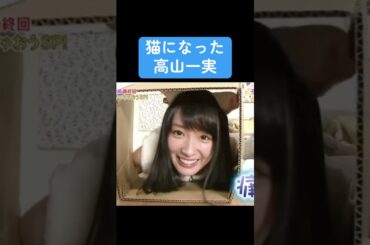 【乃木坂】猫になった高山一実 #乃木坂46 #高山一実 #白石麻衣 #井上和