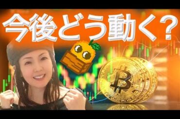 XRP 10月は？バブル来るのか？