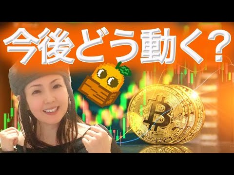 XRP 10月は?バブル来るのか? XRP 10月は?バブル来るのか?