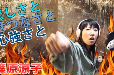 恋しさとせつなさと心強さと/うたってみた/ストリートファイターII MOVIE 主題歌/篠原涼子/小室哲哉