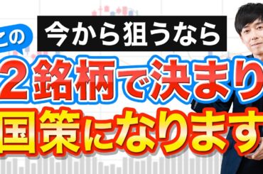 今から狙える国策株！長期成長が約束されたこの２銘柄をガチホしろ