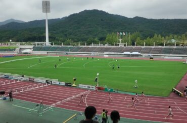 【実業団陸上】女子100mハードル予選　1組中島ひとみ　2組田中　佑美　3組青木　益未　4組清山　ちさとが1位