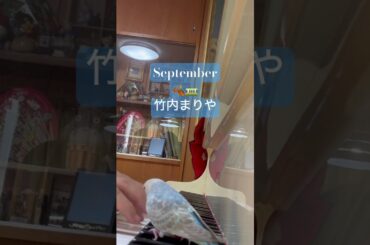 L-5  September  #竹内まりや #原田知世 #セキセイインコ #ピアノ フルバージョンあり