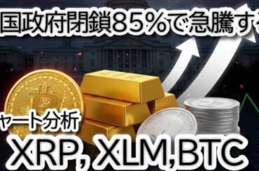 【緊急速報】政府閉鎖85%の衝撃！ビットコイン・XRP XLMが急騰する理由と今後の戦略