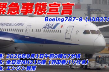 ANAも緊急事態宣言！ユナイテッド航空882便と同日にANA215便も緊急事態宣言で羽田空港へ引き返していました