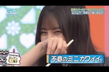 若林に贔屓されるこさかな2025【日向坂で会いましょう】