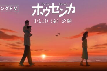 映画『ホウセンカ』ロングPV｜2025年10月10日(金)全国公開