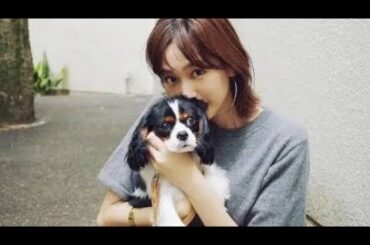 ✨48歳女優・佐藤藍子が大胆イメチェン💇‍♀️💕新ヘア披露にネット騒然「美人すぎる」「可愛すぎ」🔥