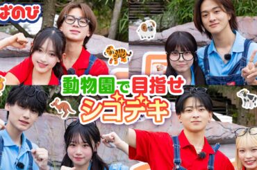 【シゴデキin動物園】今日好きメンバーが動物ショーに挑戦🐏 カップルとしては初参加のきんりの💘今回も息ぴったりなところを見せられるのか👀｜すぱのびはABEMAで"無料"配信⚡️