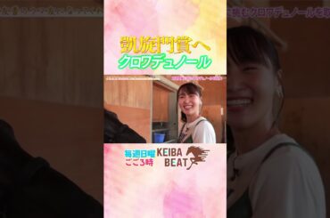 #競馬 #凱旋門賞 #クロワデュノール #北村友一  #菅井友香