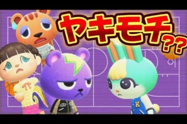 【あつ森アニメ】新作！スパーク先輩の嫉妬!?/ストロベリーホームパパ42話（あつまれどうぶつの森）