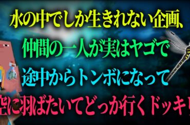 ""感動のトンボドッキリ""