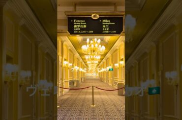 🇲🇴【マカオツアー】マカオ _ MACAU ヴェネチアンマカオ カフェツアー【Trip Vlog】🌴 澳門