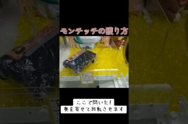 #クレーンゲーム #攻略 #確率無視 #謎設定 #モンチッチ  クレーンゲーム 攻略  TikTok
