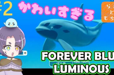 #2【フォーエバーブルールミナス】超かわいいシャチの変異種！？
