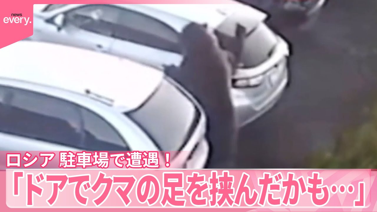 【ロシア】「ドアでクマの足を挟んだかも…」駐車場で遭遇!車をたたかれる【 #世界のミダシ 】 【ロシア】「ドアでクマの足を挟んだかも…」駐車場で遭遇!車をたたかれる【 #世界のミダシ 】