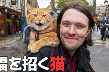 【映画紹介】 不運なホームレス青年が幸運の猫と出会い人生を変える！