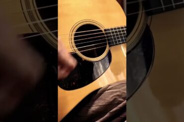 SUMMER VACATION  MartinD18#村田和人 #竹内まりや #ひきがたり #martin#d18