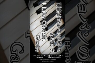 【聴き比べ】「雨音はショパンの調べ」柴咲コウ #オススメ曲 #名曲 #shorts #pixabay #seaart #柴咲コウ #chopin