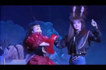 天海祐希さん羽根知里さんのPUCKとYUKIユウキゆうき