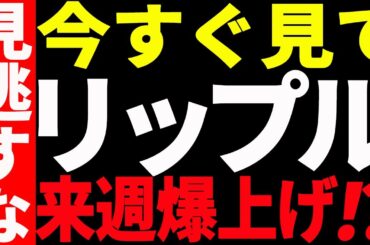⚠️絶対見ろ⚠️リップル（XRP）来週爆上げ⁉見逃し厳禁の注目ポイントを共有！【仮想通貨】