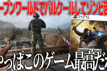 グロ＆酔い注意なゾンビオープンワールド新作がいい意味で目覚めている..パルクールで爆走、肉弾戦で血しぶきブシャー！これでいい。画面酔いの地獄を乗り越えたらオアシス【ダイイングライト：ザ・ビースト 】