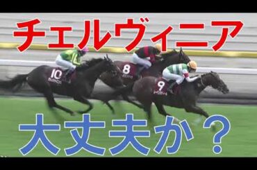 毎日王冠 2025 結果 レース回顧 チェルヴィニア大丈夫か？  京都大賞典の回顧も