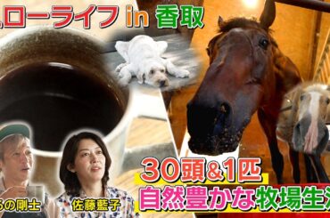 テレビ朝日「アクティブスローライフのススメ」#3 Part1【10/7（火）昼12時～配信予定（全4本）】#佐藤藍子 #ｽﾛｰﾗｲﾌ #千葉 #香取市 #つるの #乗馬 #牧場