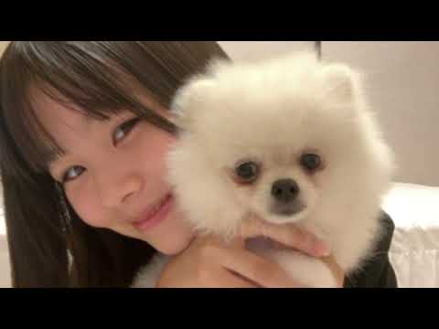 2025年10月05日19時45分21秒 #江浦優香(HKT48 チームKIV) 2025年10月05日19時45分21秒 #江浦優香(HKT48 チームKIV)