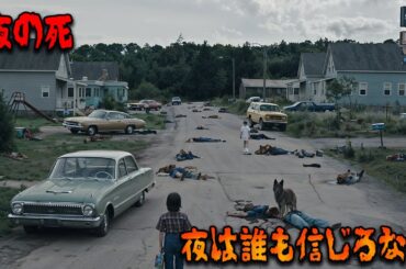 ここは悪夢の町だ。夜になったら誰にも扉を開けてはいけない。外に出れば生き残る確率はわずか0.004％だ。【映画紹介】