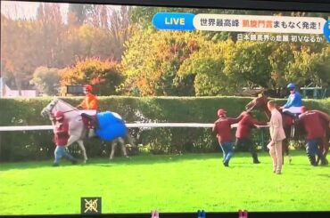 【競馬実況動画2025】 第104回凱旋門賞 ダリズ(ミカエル・バルザローナ)