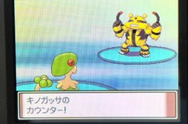 きのこじゃない方のほうしで100%眠らせる1%の確率を引く最強キノガッサで3タテ